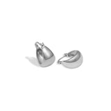 Silken Curves Earrings