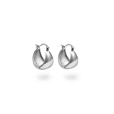 Silken Curves Earrings