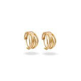 Wavy Motion Earrings