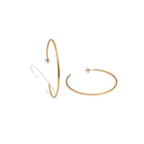 Glimmering Loop Earrings